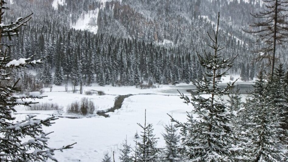 Winterwandern Winterwanderung um den Ingeringsee - Touren-Impression #2.6 | © Erlebnisregion Murtal