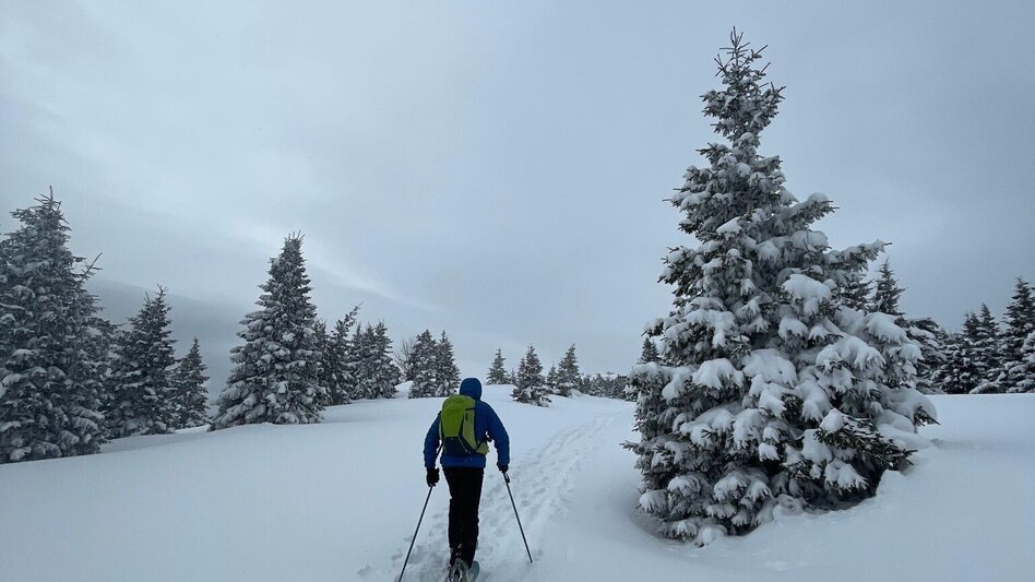 Ski Touring Pfaffensattel - Stuhleck, Rettenegg - Touren-Impression #2.2 | © Oststeiermark Tourismus