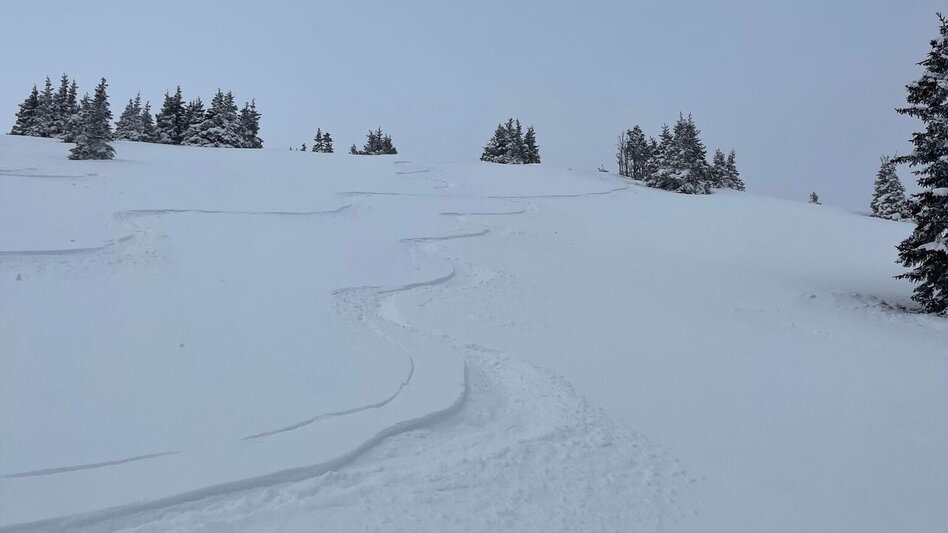 Ski Touring Pfaffensattel - Stuhleck, Rettenegg - Touren-Impression #2.3 | © Oststeiermark Tourismus