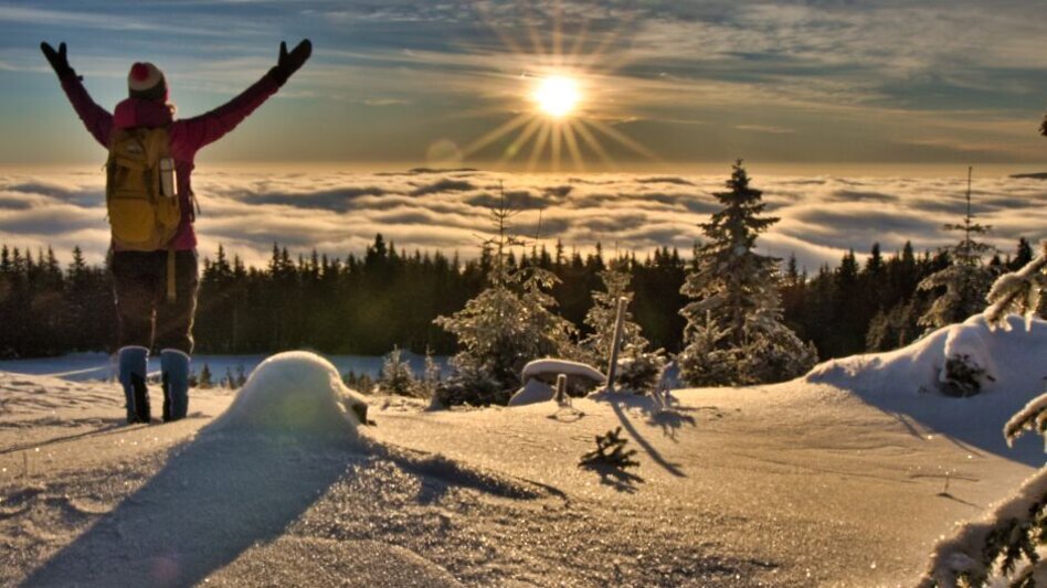 Winter Hiking Winter solstice tour Teufelstein, Fischbach - Touren-Impression #2.1 | © Weges OG