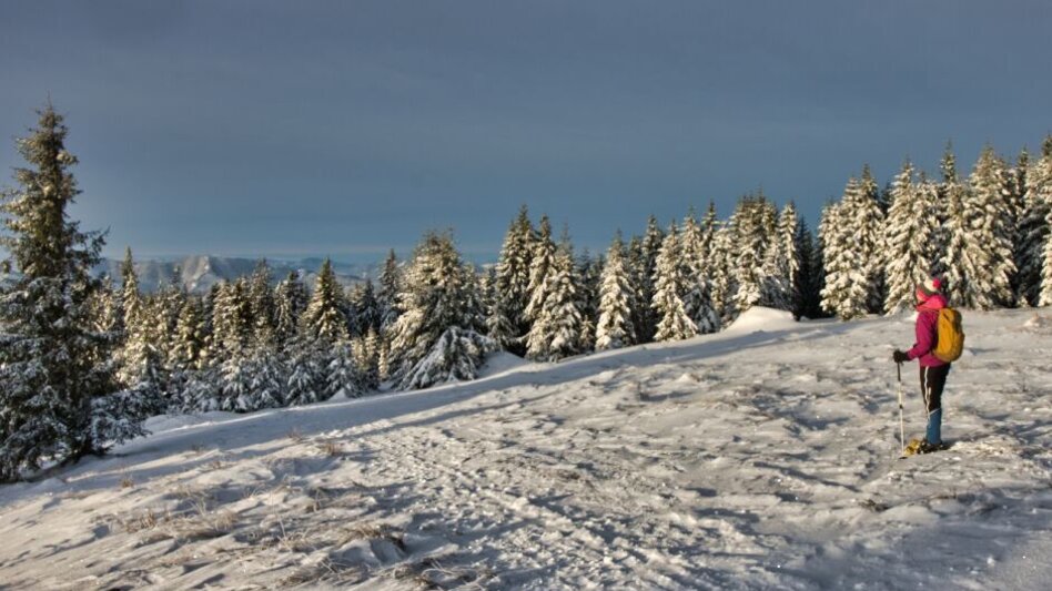Winter Hiking Winter solstice tour Teufelstein, Fischbach - Touren-Impression #2.6 | © Weges OG