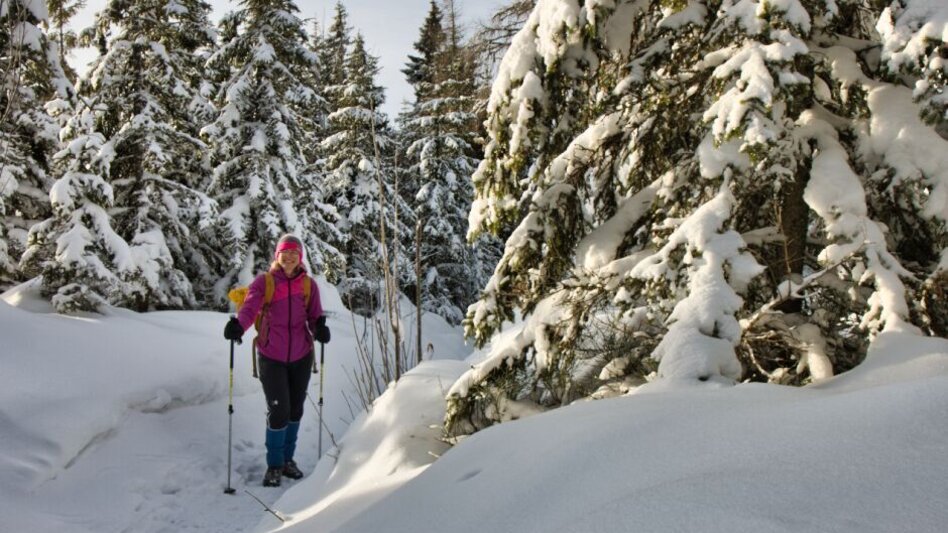 Winter Hiking Winter solstice tour Teufelstein, Fischbach - Touren-Impression #2.9 | © Weges OG
