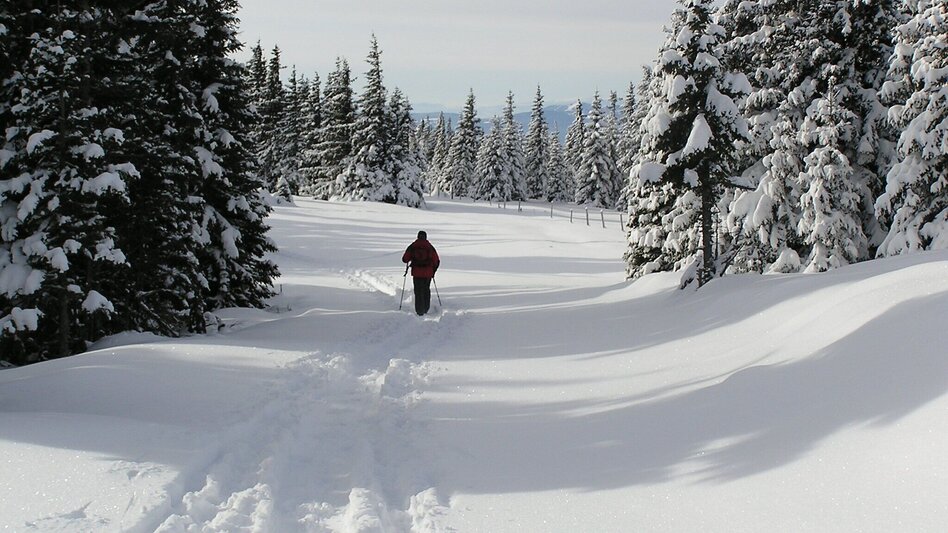 Ski Touring From the Hauereck to the Steinriegel, St. Kathrein am Hauenstein - Touren-Impression #2.3 | © Oststeiermark Tourismus