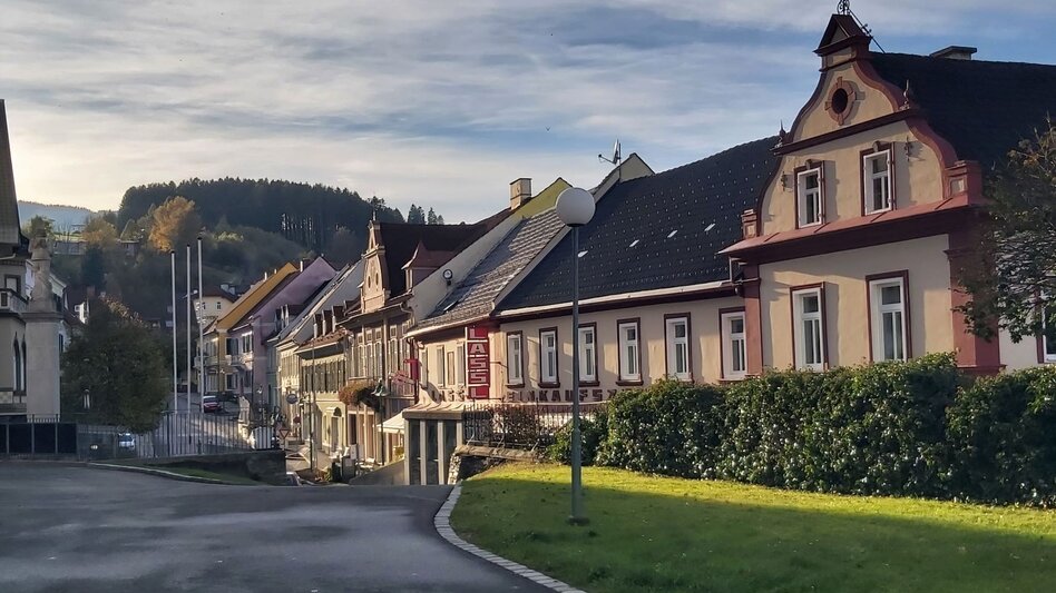 Radfahren Rundblick-Tour, Birkfeld - Koglhof - Touren-Impression #2.4 | © Oststeiermark Tourismus