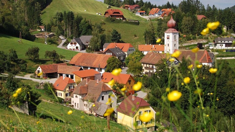 Radfahren Rundblick-Tour, Birkfeld - Koglhof - Touren-Impression #2.9 | © TVB Oststeiermark