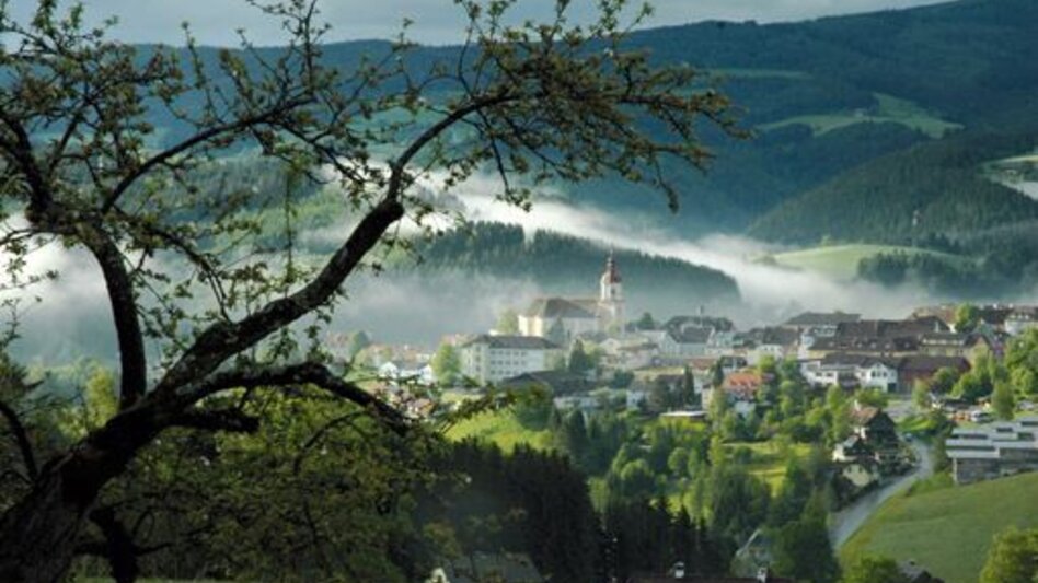 Radfahren Rundblick-Tour, Birkfeld - Koglhof - Touren-Impression #2.6 | © Oststeiermark Tourismus