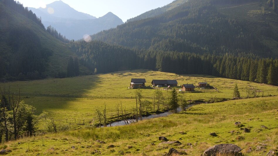 Wanderung Rudolf Schober Hütte - St. Nikolai | Höhenweg 702: Etappe 07 - Touren-Impression #2.8 | © Fotograf: Volkhard Maier