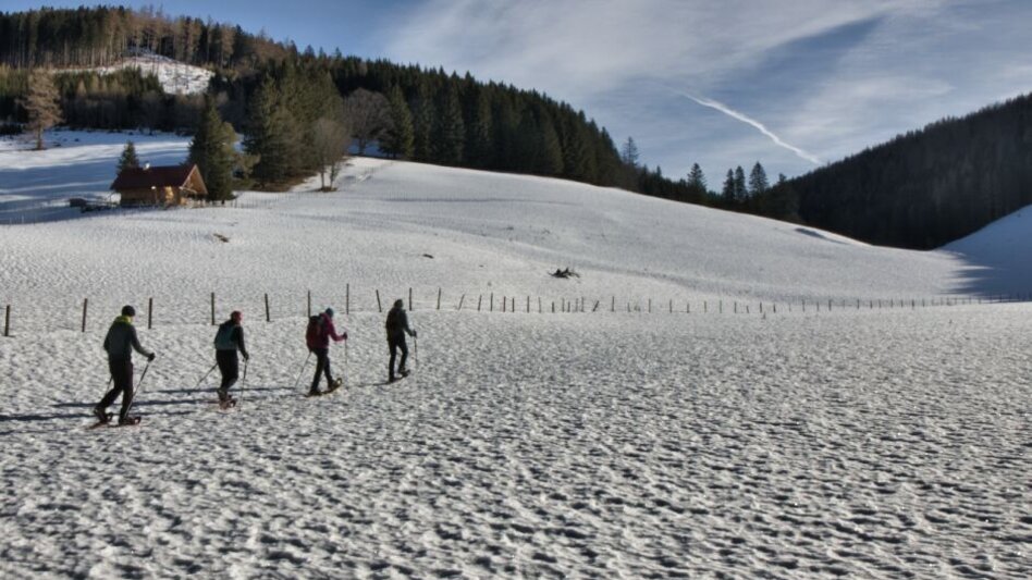 Winter Hiking Snowshoe hike Tyrnaueralm, Teichalm - Touren-Impression #2.1 | © Oststeiermark Tourismus