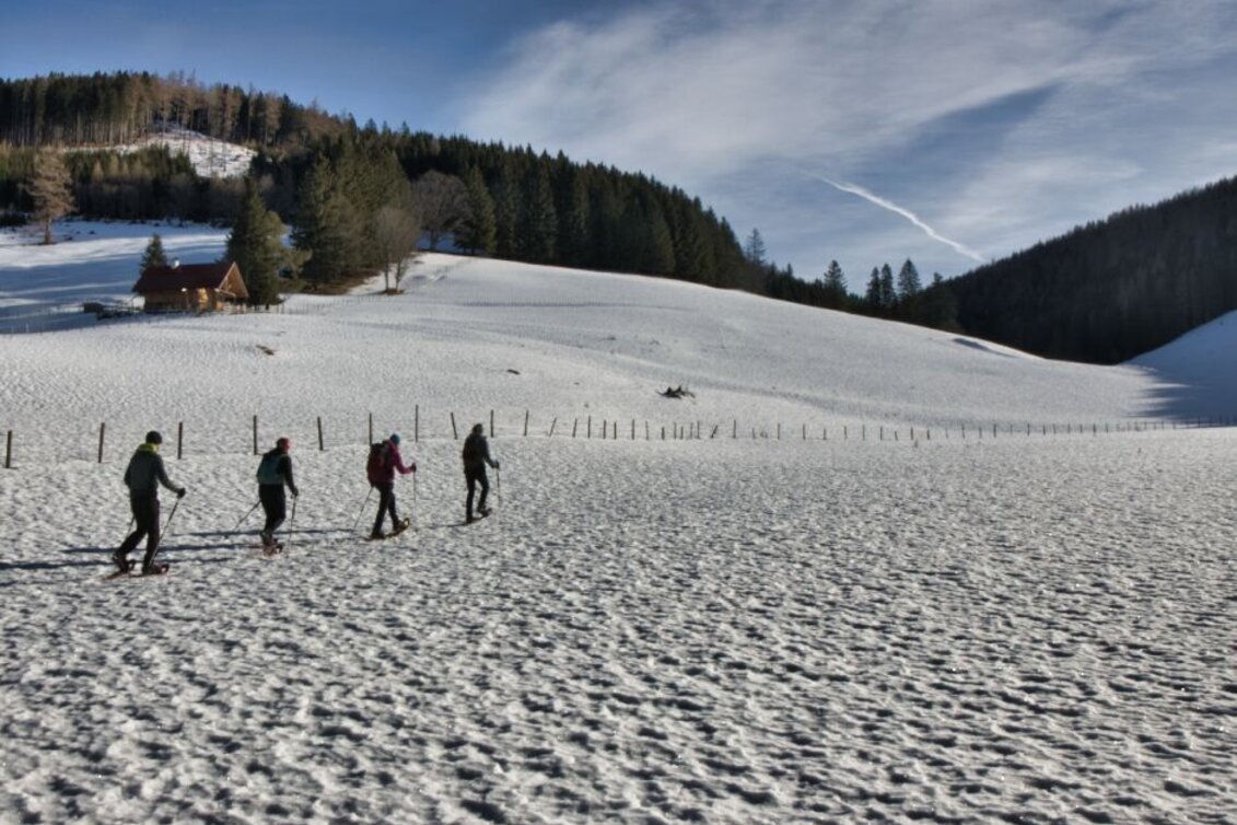 Winter Hiking Snowshoe hike Tyrnaueralm, Teichalm - Touren-Impression #1 | © Oststeiermark Tourismus