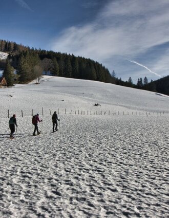 Weg zur Tyrnaueralm in der Oststeiermark | Weges | © Oststeiermark Tourismus
