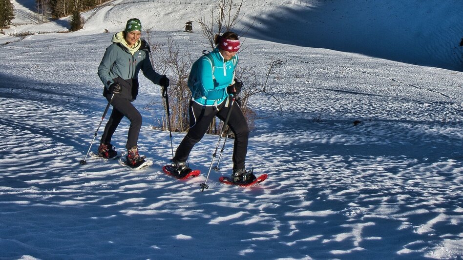Winter Hiking Snowshoe hike Tyrnaueralm, Teichalm - Touren-Impression #2.4 | © Oststeiermark Tourismus