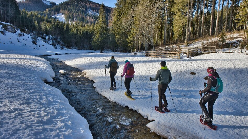 Winter Hiking Snowshoe hike Tyrnaueralm, Teichalm - Touren-Impression #2.9 | © Oststeiermark Tourismus
