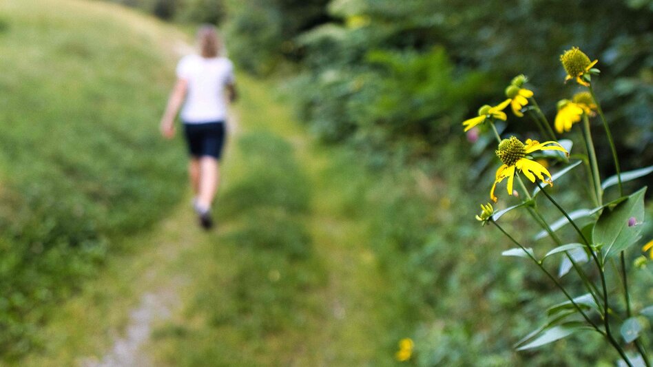 Wanderung wasser HÖREN in Laßnitzhöhe - Touren-Impression #2.3 | © Weges OG