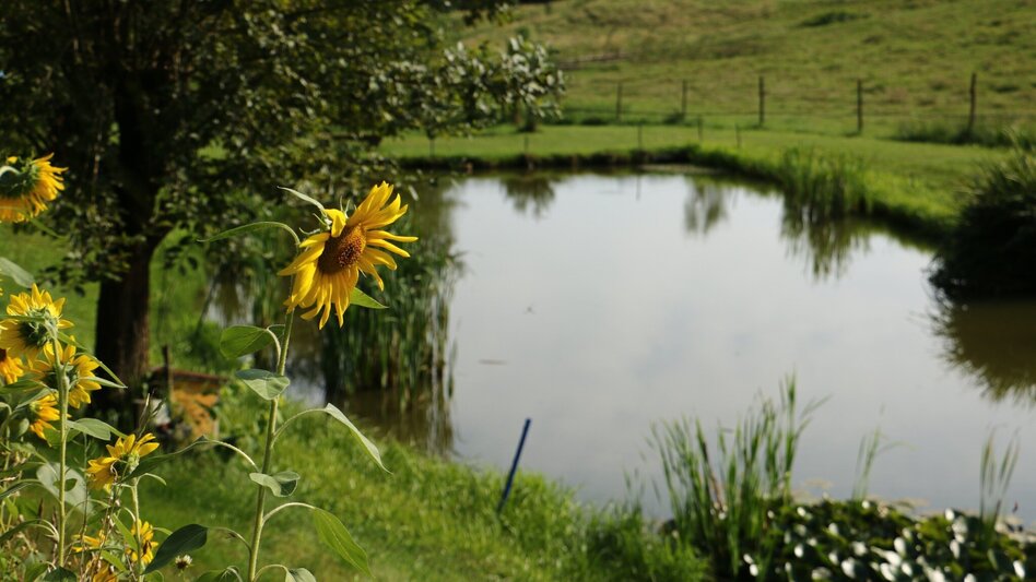 Wanderung wasser HÖREN in Laßnitzhöhe - Touren-Impression #2.1