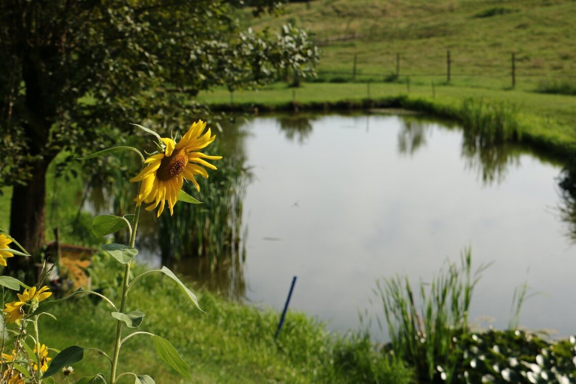 Wanderung wasser HÖREN in Laßnitzhöhe - Touren-Impression #1