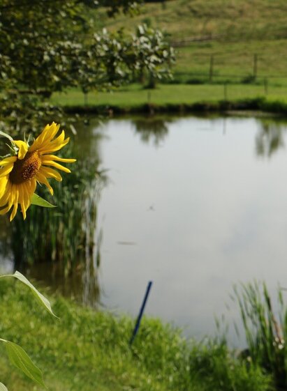 _TITELBILD_wasser HÖREN (c) MG Laßnitzhöhe (7).JPG | Markus Zaunschirm