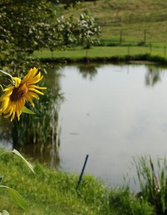_TITELBILD_wasser HÖREN (c) MG Laßnitzhöhe (7).JPG | Markus Zaunschirm