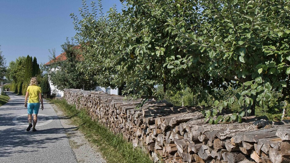 Wanderung ernährung SCHMECKEN in Laßnitzhöhe - Touren-Impression #2.2 | © Weges OG