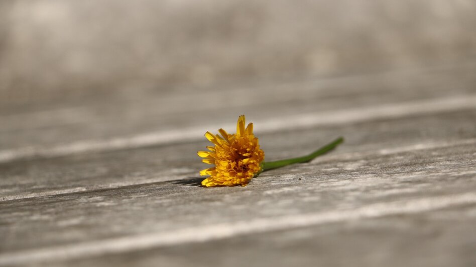 Wanderung ernährung SCHMECKEN in Laßnitzhöhe - Touren-Impression #2.1