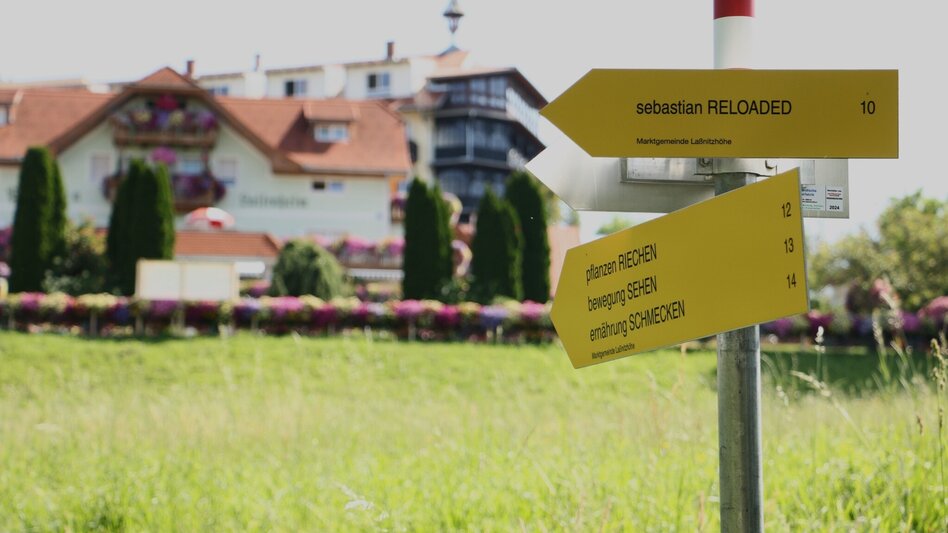 Wanderung bewegung SEHEN in Laßnitzhöhe - Touren-Impression #2.5