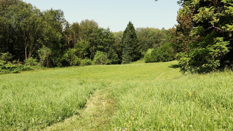 Wanderung bewegung SEHEN in Laßnitzhöhe - Touren-Impression #2.7