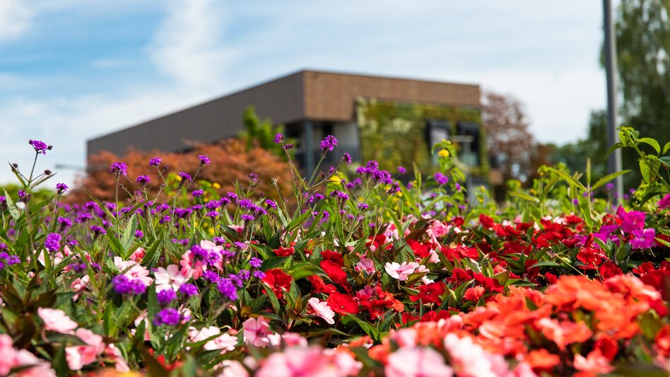 Wanderung bewegung SEHEN in Laßnitzhöhe - Touren-Impression #2.10