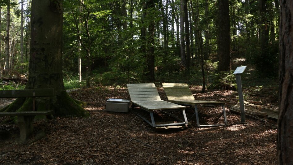 Wanderung balance FÜHLEN in Laßnitzhöhe - Touren-Impression #2.3