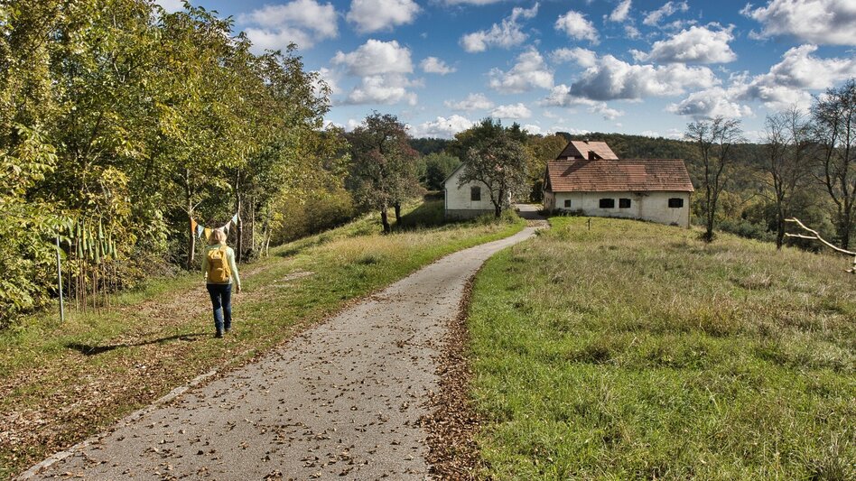 Wanderung Taggerwaldweg - Touren-Impression #2.2 | © Weges OG