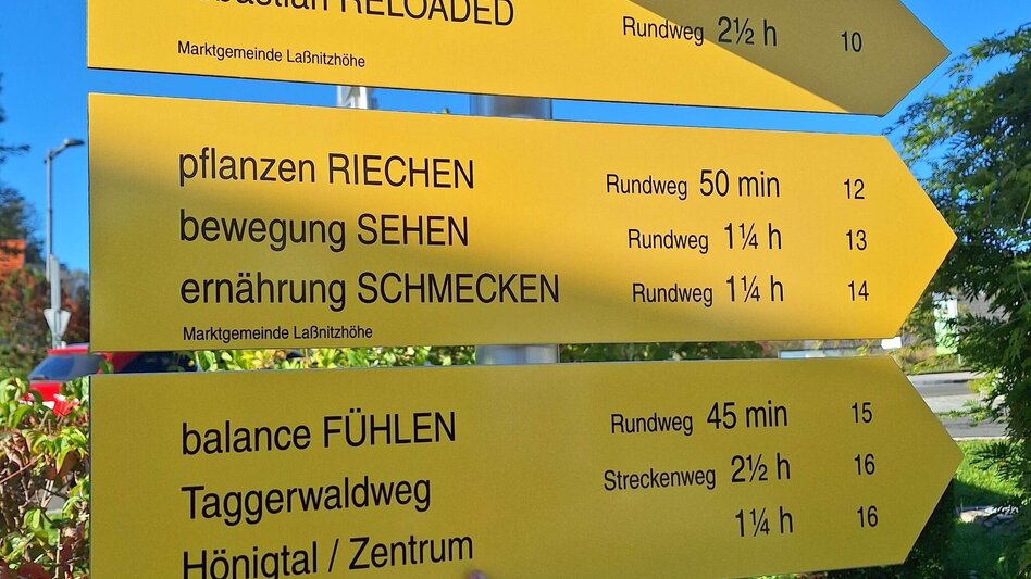 Wanderung Taggerwaldweg - Touren-Impression #2.3 | © Weges OG