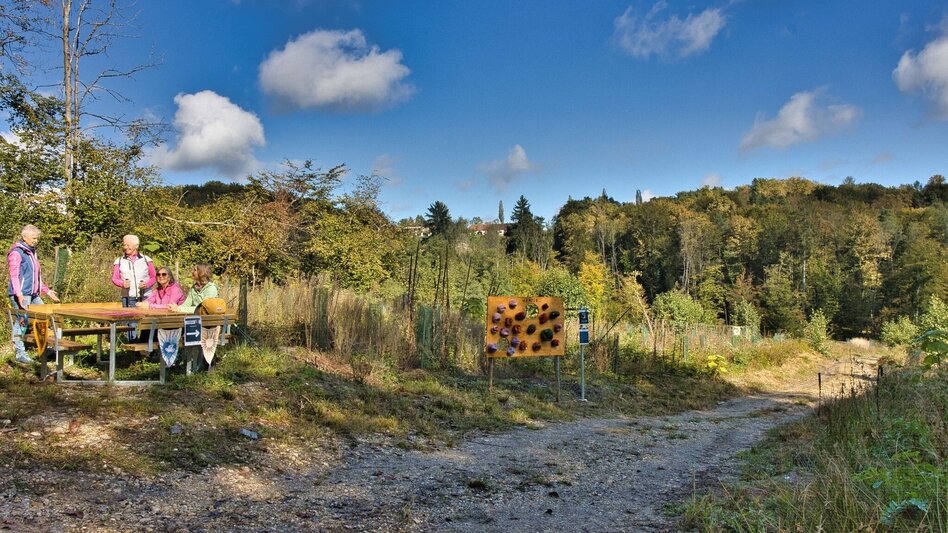 Wanderung Taggerwaldweg - Touren-Impression #2.4 | © Weges OG
