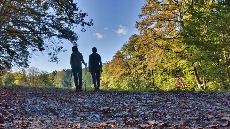 Wanderung Taggerwaldweg - Touren-Impression #2.5