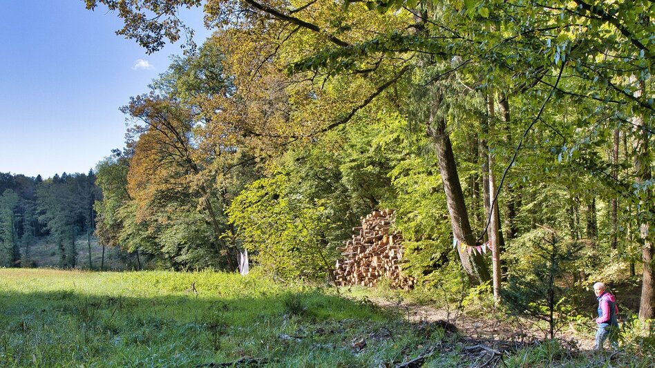 Wanderung Taggerwaldweg - Touren-Impression #2.6 | © Weges OG