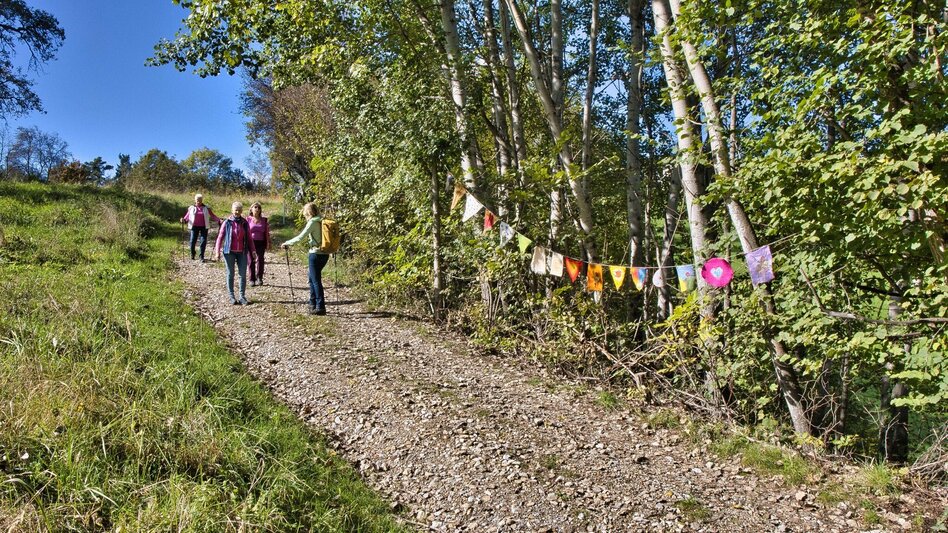Wanderung Taggerwaldweg - Touren-Impression #2.7 | © Weges OG