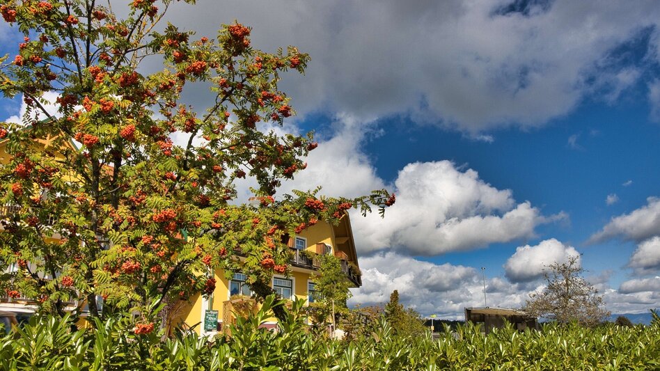 Wanderung Taggerwaldweg - Touren-Impression #2.8 | © Weges OG