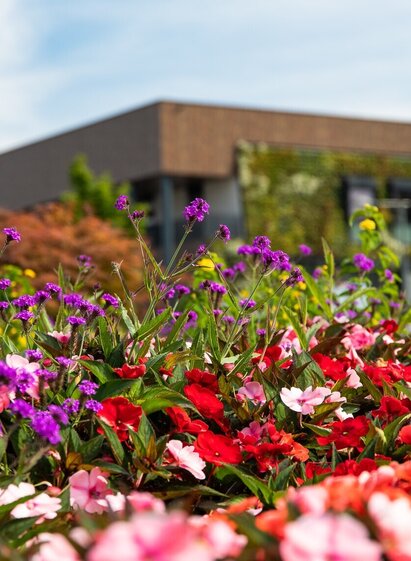 _TITELBILD_sebastian RELOADED® (c) TV Region Graz - Mias Photoart (343).jpg | MIAS PHOTOART    _MICHAELA PFLEGERR