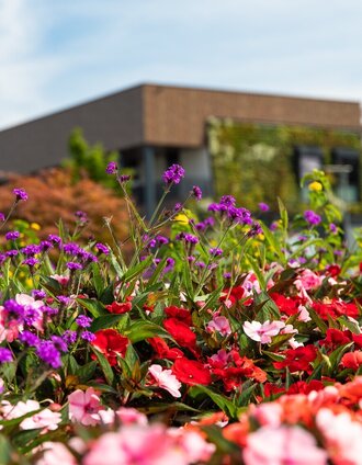 _TITELBILD_sebastian RELOADED® (c) TV Region Graz - Mias Photoart (343).jpg | MIAS PHOTOART    _MICHAELA PFLEGERR