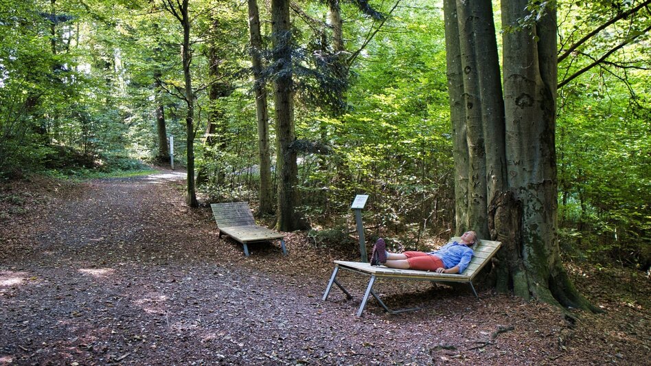 Wanderung pflanzen RIECHEN in Laßnitzhöhe - Touren-Impression #2.7