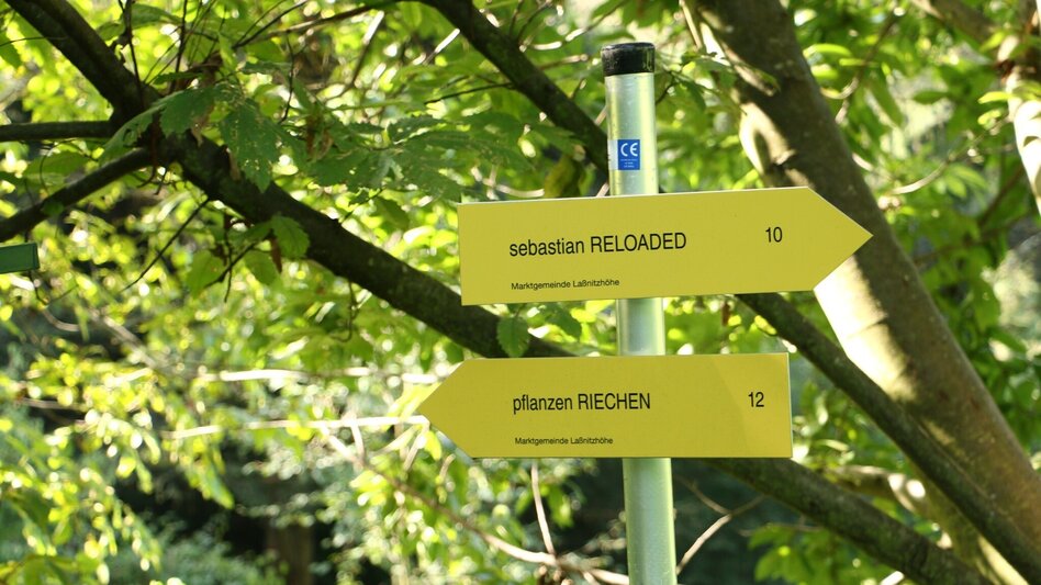 Wanderung pflanzen RIECHEN in Laßnitzhöhe - Touren-Impression #2.10