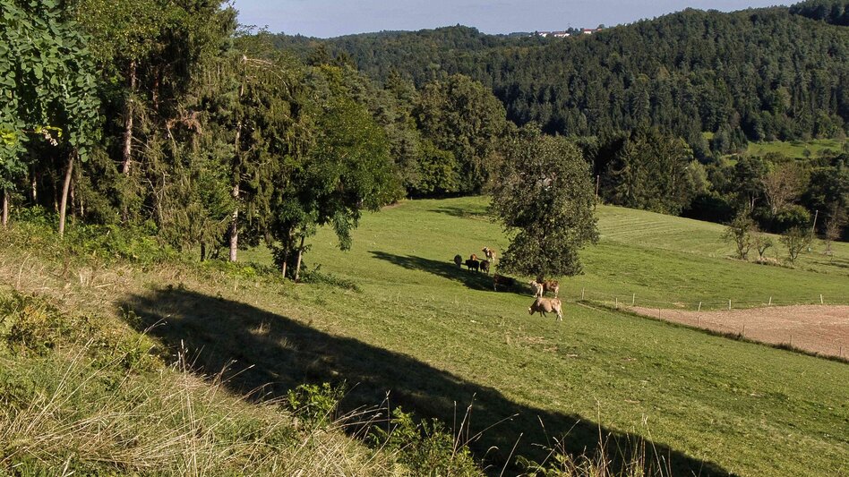 Wanderung Heldenkreuzweg - Touren-Impression #2.2 | © Region Graz