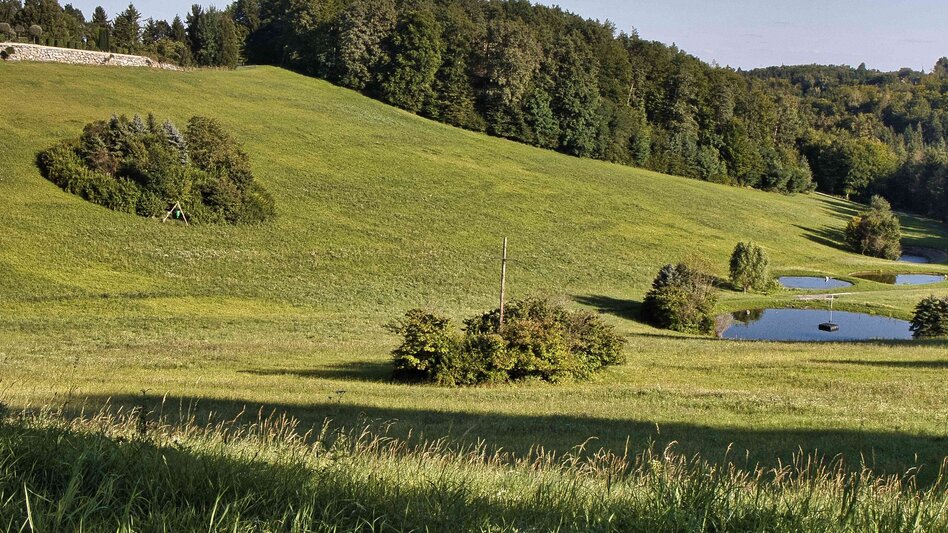 Wanderung Heldenkreuzweg - Touren-Impression #2.4 | © Weges OG