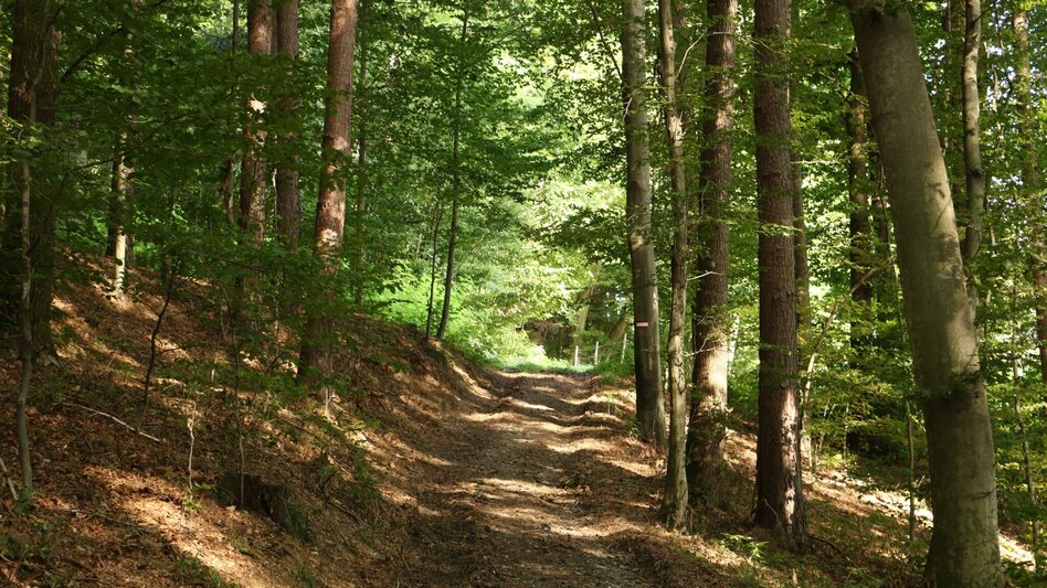 Wanderung Heldenkreuzweg - Touren-Impression #2.6