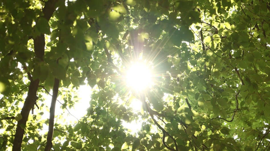 Wanderung Heldenkreuzweg - Touren-Impression #2.7