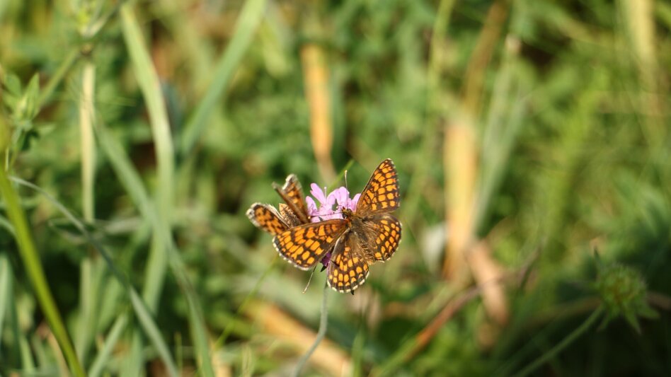 Wanderung Heldenkreuzweg - Touren-Impression #2.9