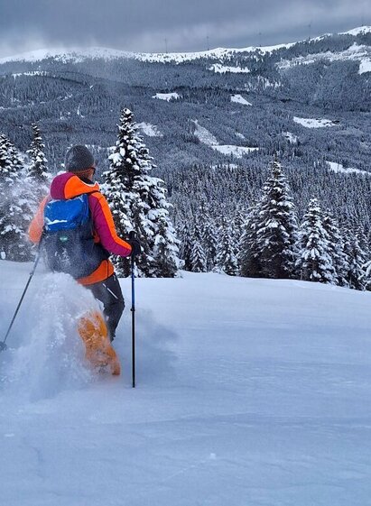 Pulverschnee | © Weges OG | Weges OG | © Weges OG