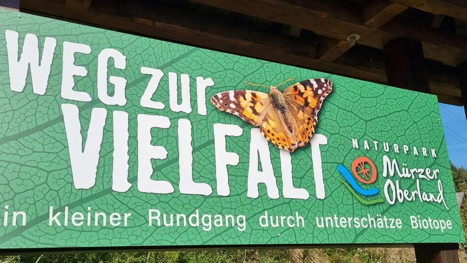 Hiking route Path to Diversity - Touren-Impression #2.3 | © Hochsteiermark