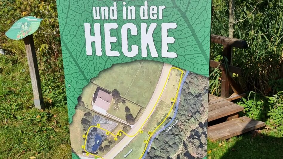 Hiking route Path to Diversity - Touren-Impression #2.4 | © Hochsteiermark