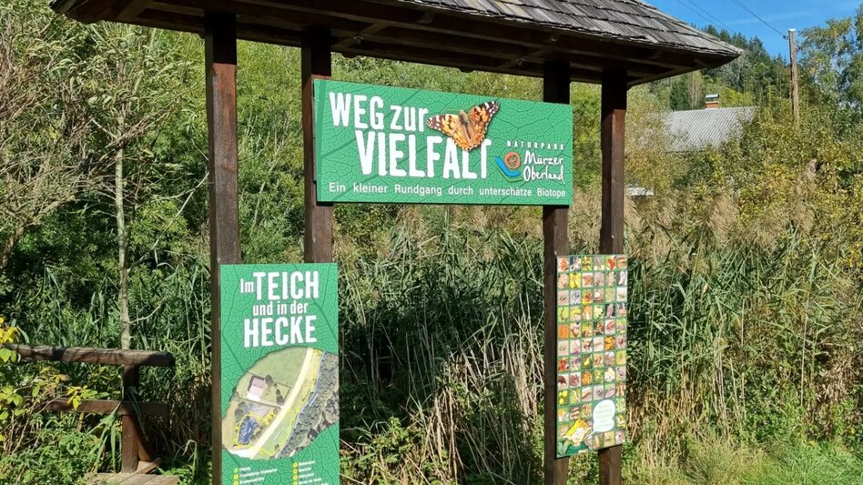 Hiking route Path to Diversity - Touren-Impression #2.5 | © Hochsteiermark