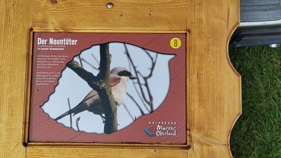 Hiking route Path to Diversity - Touren-Impression #2.6 | © Hochsteiermark