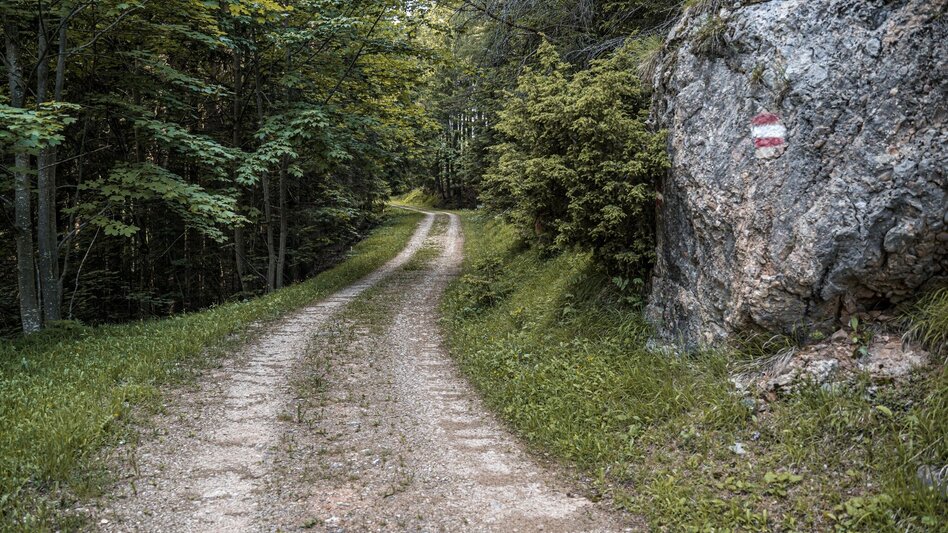 Wanderung Brandangerkogel-Runde ab Dachsteinblick - Touren-Impression #2.7 | © Erlebnisregion Schladming-Dachstein