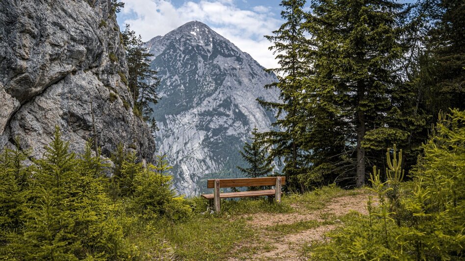 Wanderung Brandangerkogel-Runde ab Dachsteinblick - Touren-Impression #2.8 | © Erlebnisregion Schladming-Dachstein